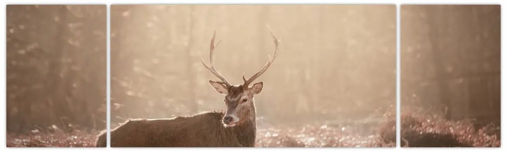 Obraz - Jeleń w lesie (170x50 cm)