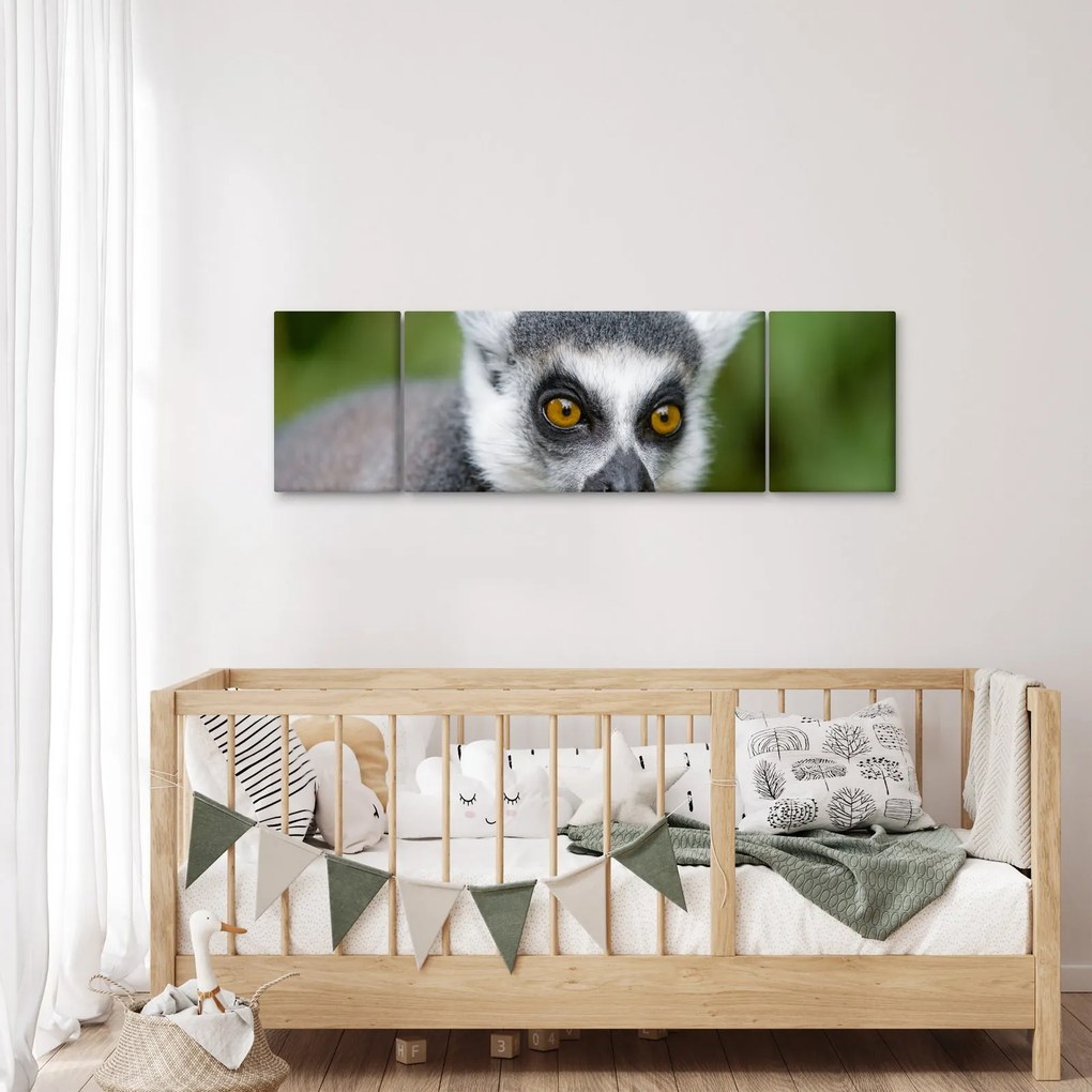 Obraz lemura (170x50 cm)