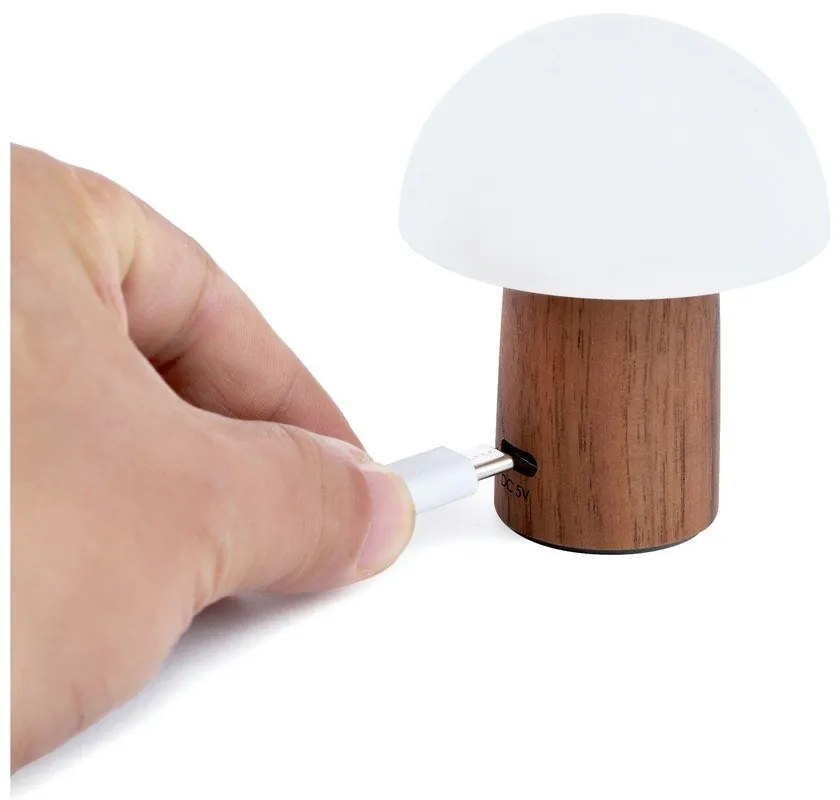 Biała/w ciemnym naturalnym kolorze lampa stołowa LED (wysokość 7 cm) Alice Mushroom – Gingko