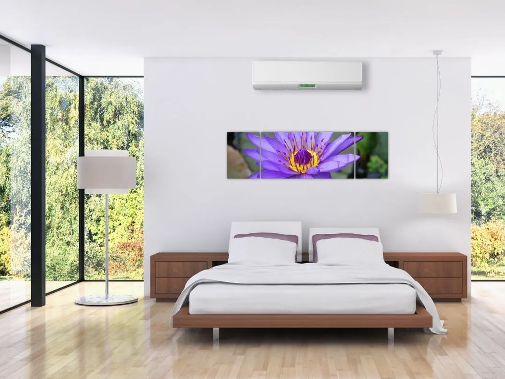 Obraz - Fioletowy kwiat (170x50 cm)