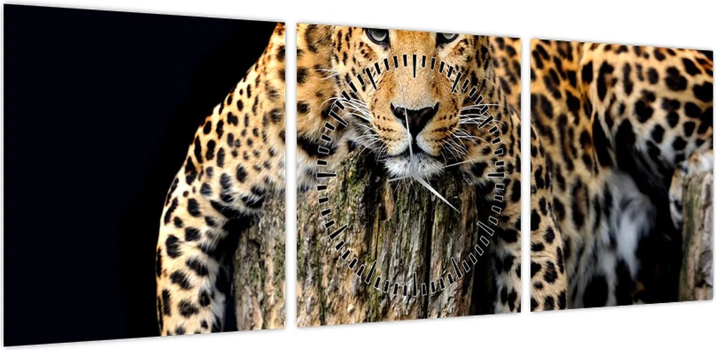 Obraz - Gepard (z zegarem) (90x30 cm)