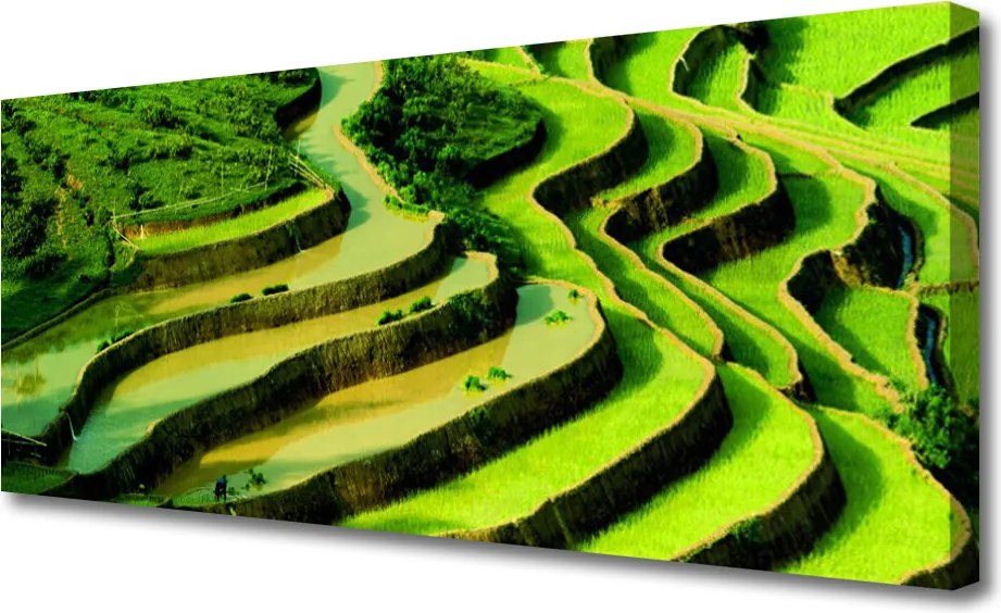 Obraz drukowany na płótnie Tarasy Ryżowe w Azji