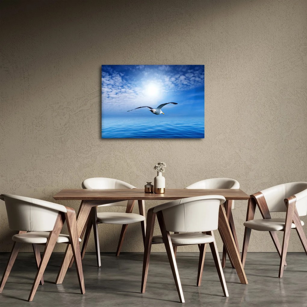 Obraz - Mewa nad morzem (70x50 cm)