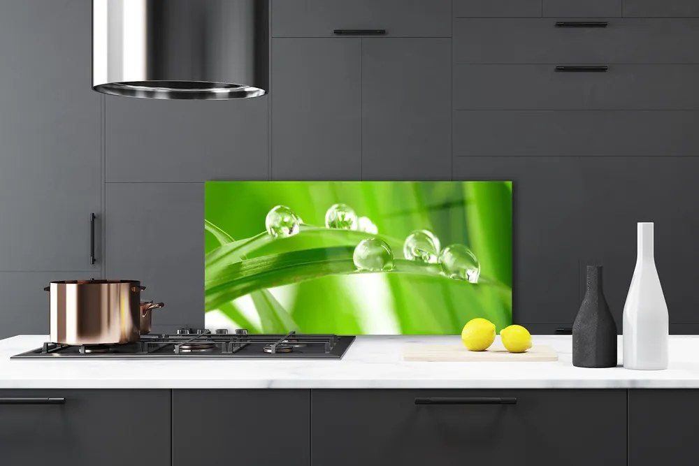 Panel nad blat kuchenny Tropikalna Flora Liściasta