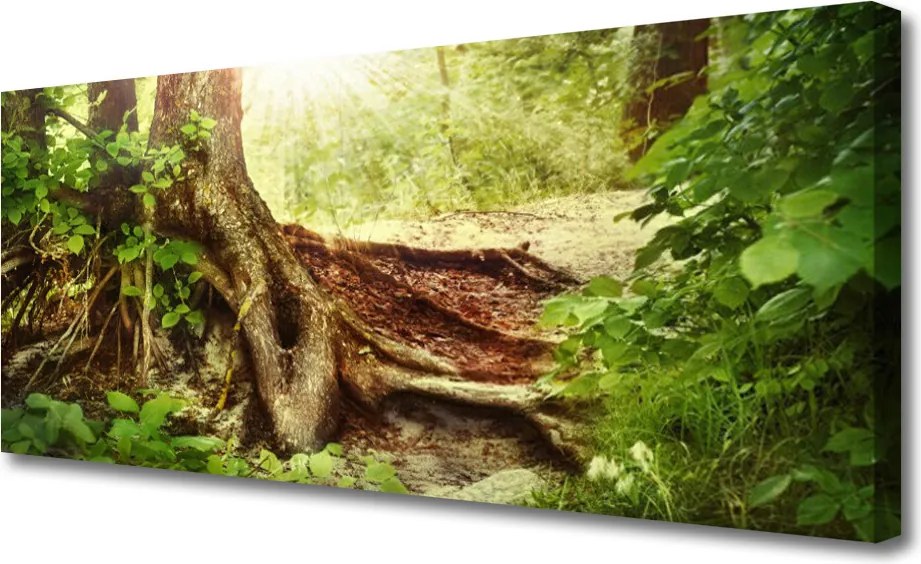 Obraz canvas na ścianę Tekstura Pnia Drzewa w Lesie