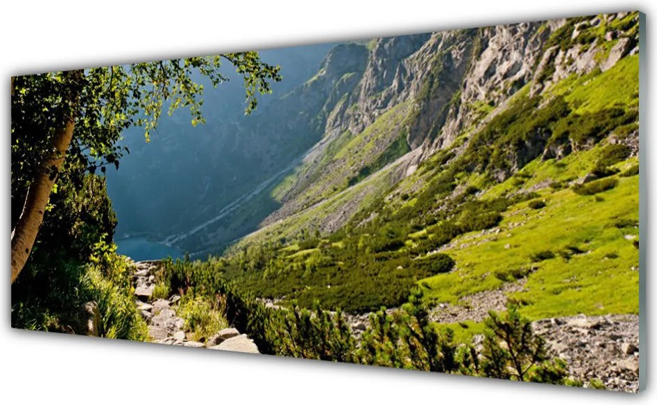 Panel Szklany Dzika Natura W Górach
