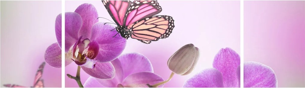Obraz - Motyl na kwiatach orchidei, liliowy (170x50 cm)
