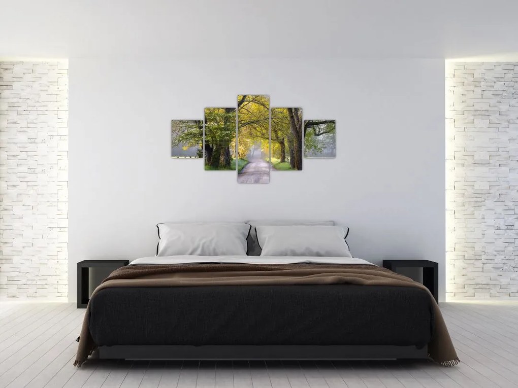 Zdjęcie - Smoky Mountains, Gatlinburg, USA (125x70 cm)