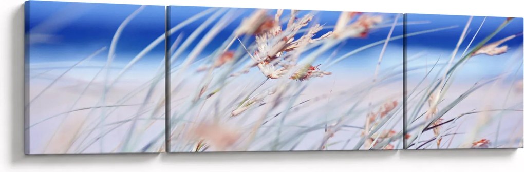 Obraz - Bryza (170x50 cm)