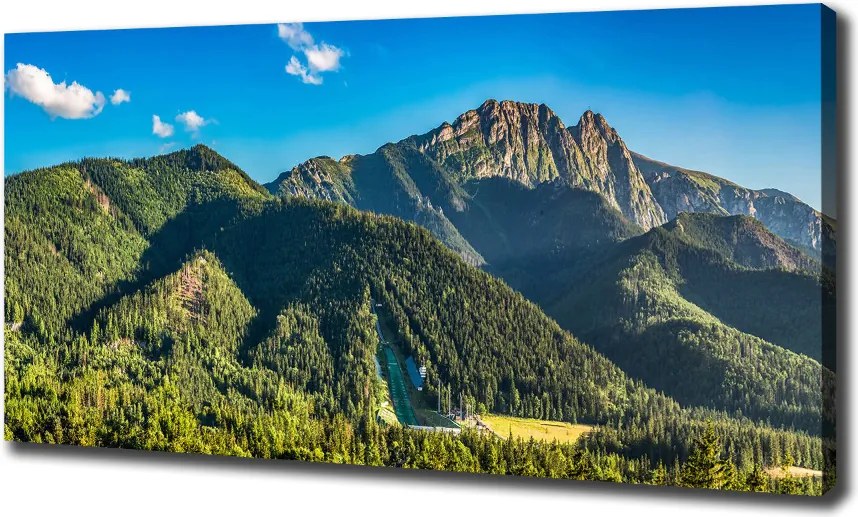 Foto obraz na płótnie Panorama Tatr