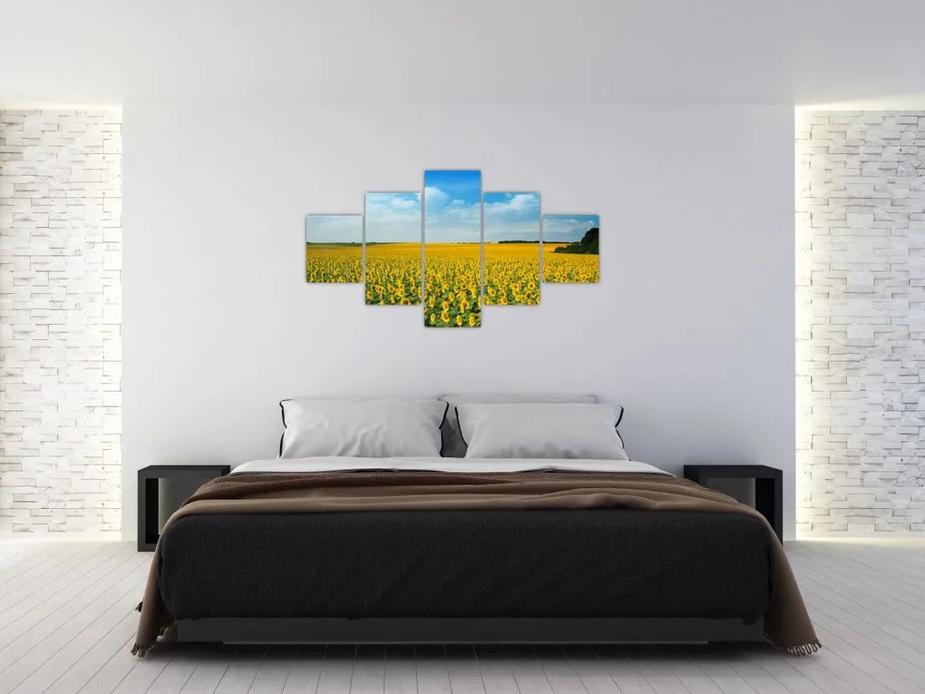 Obraz - ciąg słoneczników (125x70 cm)