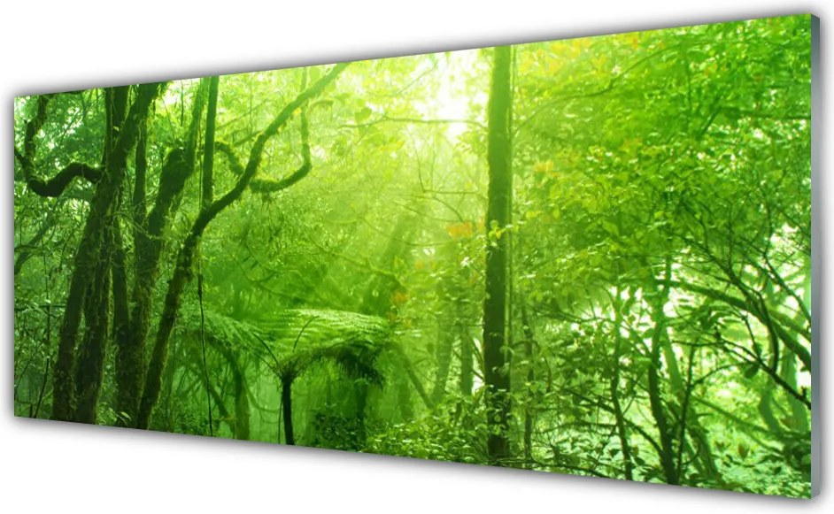 Panel Kuchenny Las w Letnim Słońcu