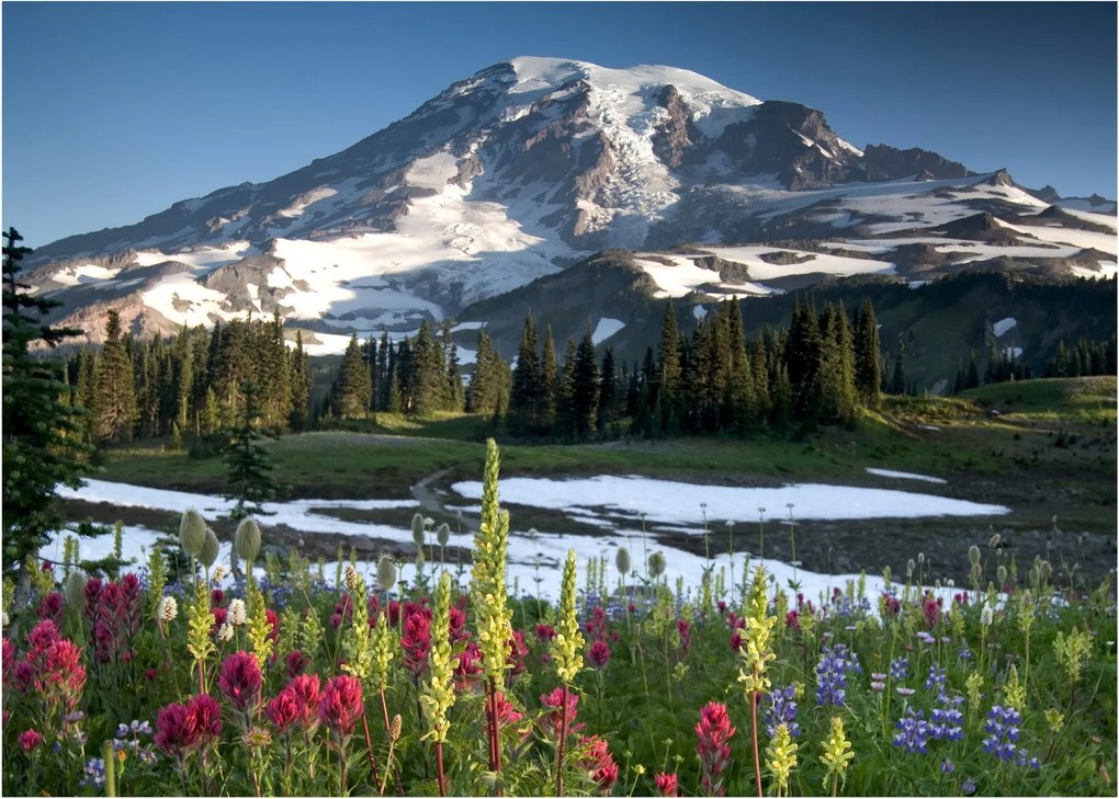 Obraz na szkle - Mount Rainier (70x50 cm)