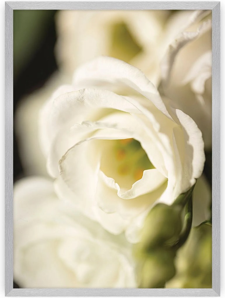 Plakat Flower Wall