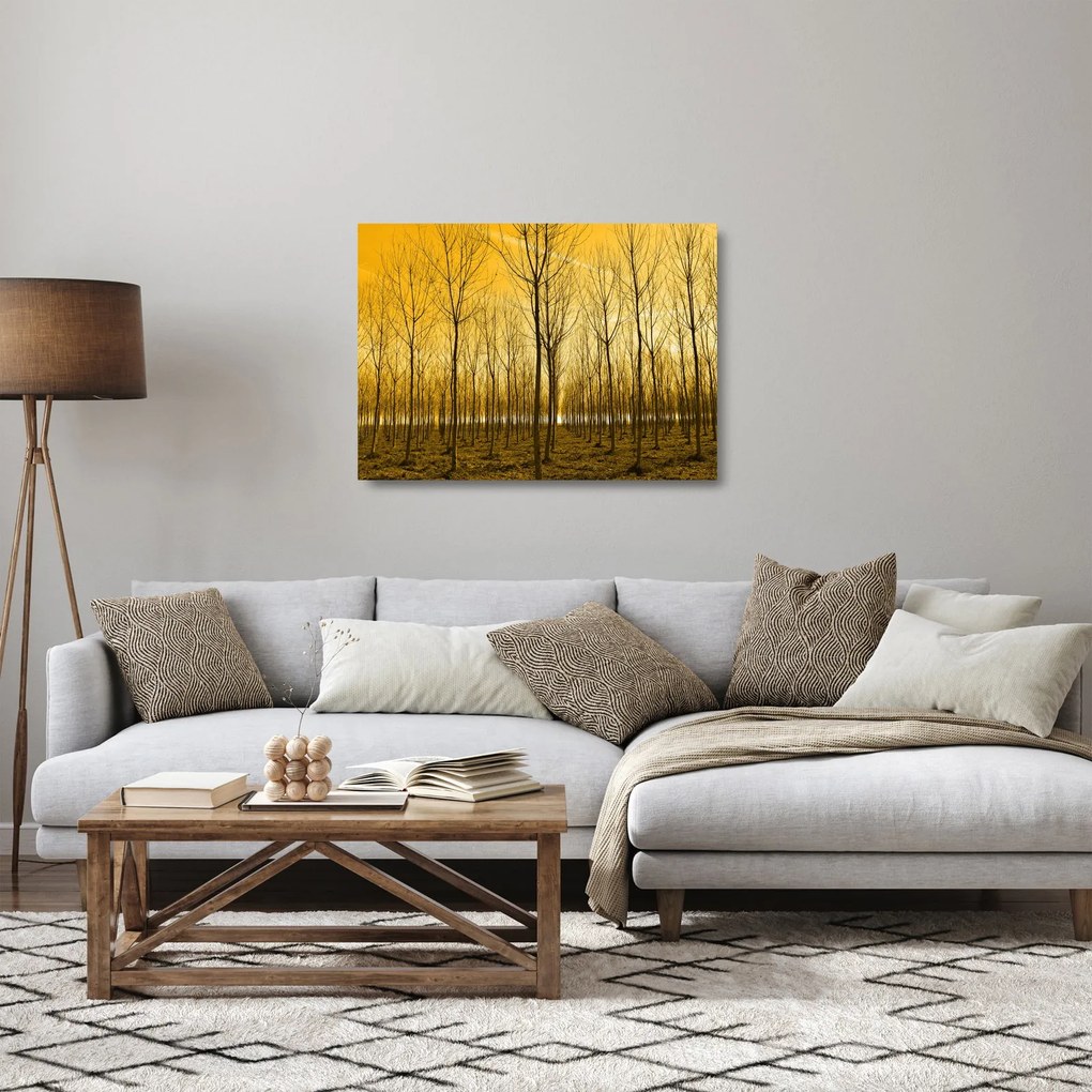 Obraz na szkle - las o zachodzie słońca (70x50 cm)