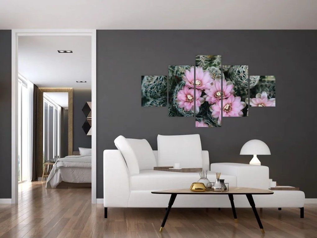 Obraz kwiatu kaktusa (125x70 cm)