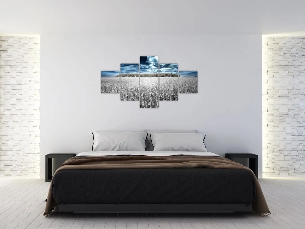 Obraz pola (125x70 cm)