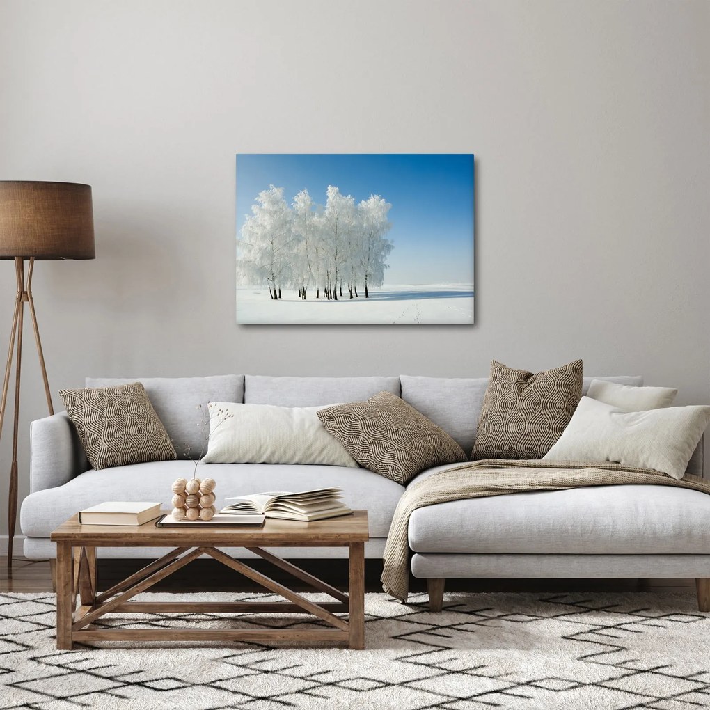 Obraz zaśnieżonego krajobrazu (70x50 cm)