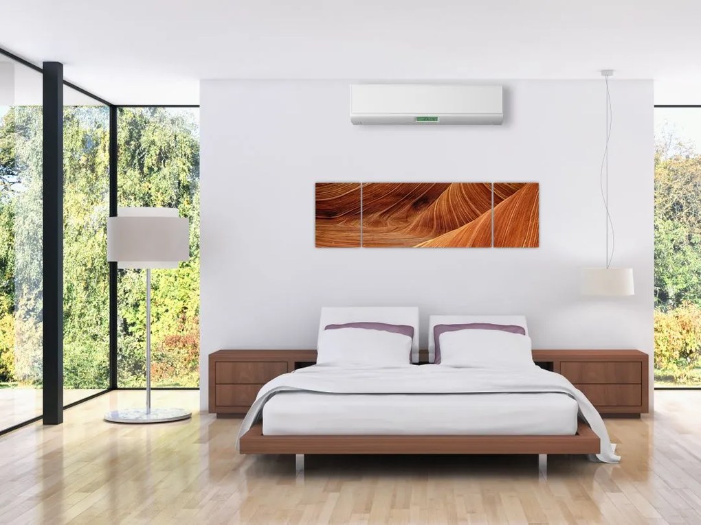 Obraz - Czerwony piasek (170x50 cm)