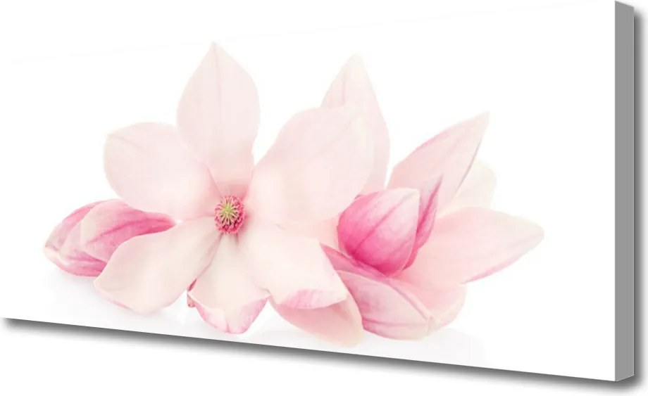 Obraz canvas Delikatne Płatki w Zbliżeniu