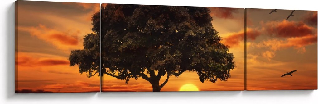 Obraz drzewa o zachodzie słońca (170x50 cm)