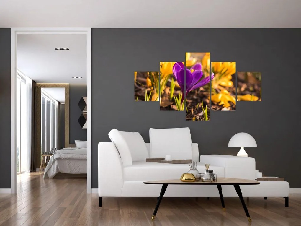 Obraz fioletowego kwiatu (125x70 cm)
