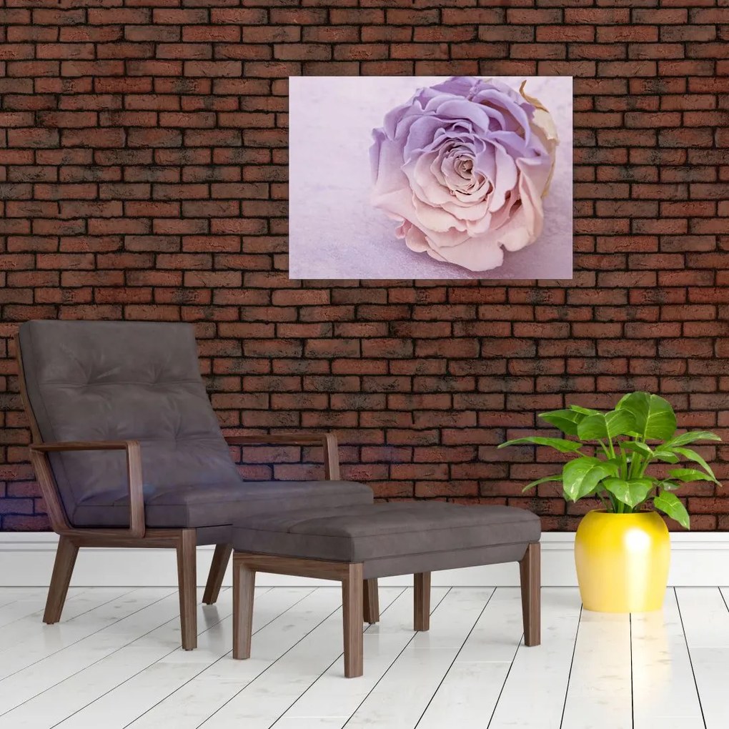Obraz na szkle szczegółu kwiatu róży (70x50 cm)