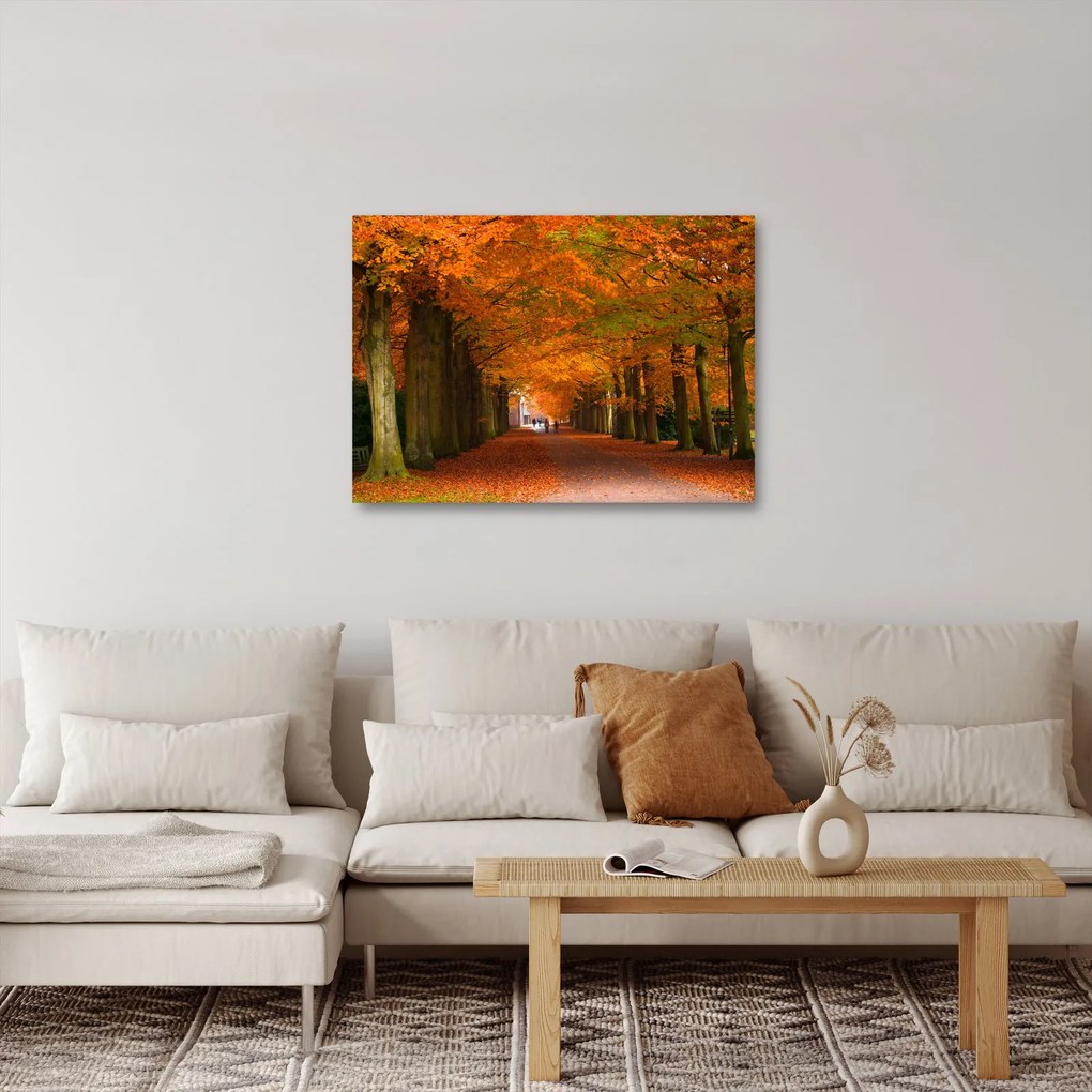 Obraz - Aleja drzew jesienią (70x50 cm)