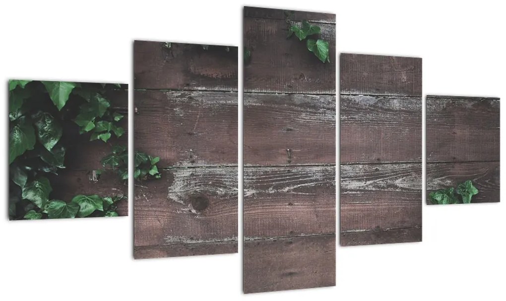 Obraz - Bluszcz (125x70 cm)