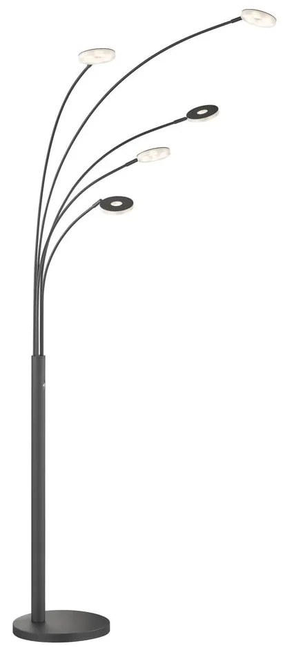 Czarna lampa stojąca LED ze ściemniaczem (wysokość 225 cm) Dent – Fischer &amp; Honsel