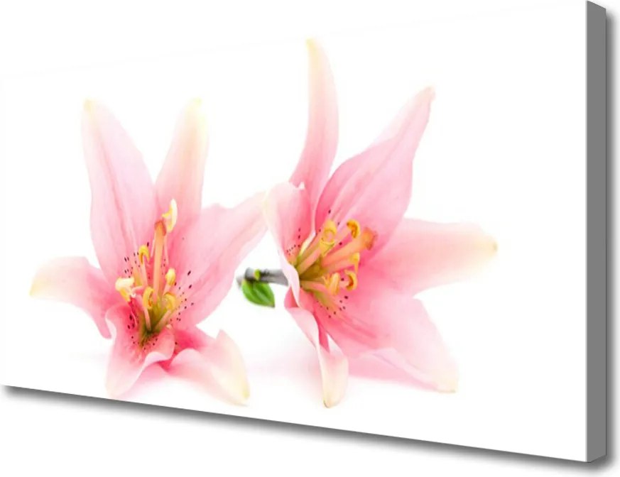 Obraz na płótnie Urokliwa Flora Kwiatowa