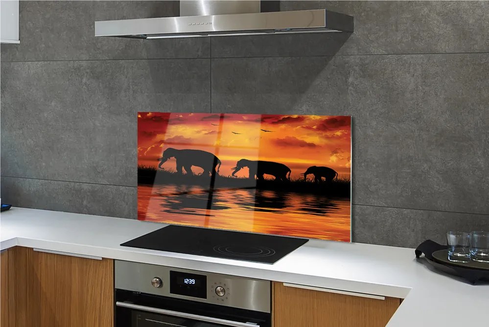 Panel szklany do Kuchni Słonie nad Wadą o Zachodzie