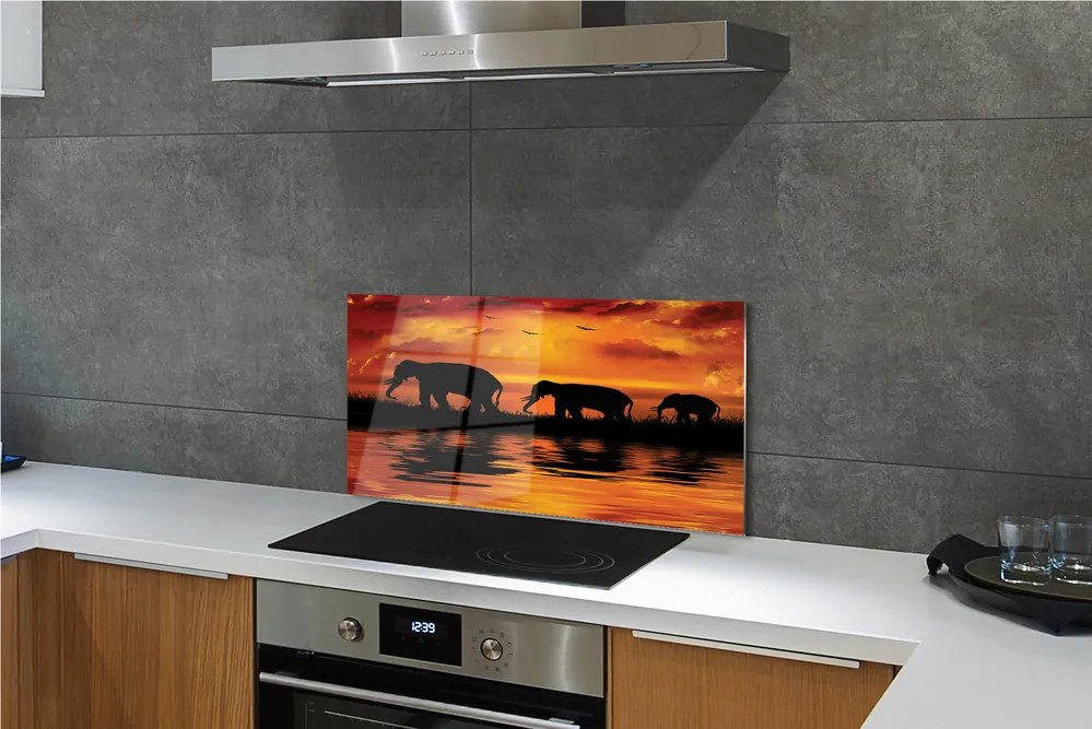 Panel szklany do Kuchni Słonie nad Wadą o Zachodzie