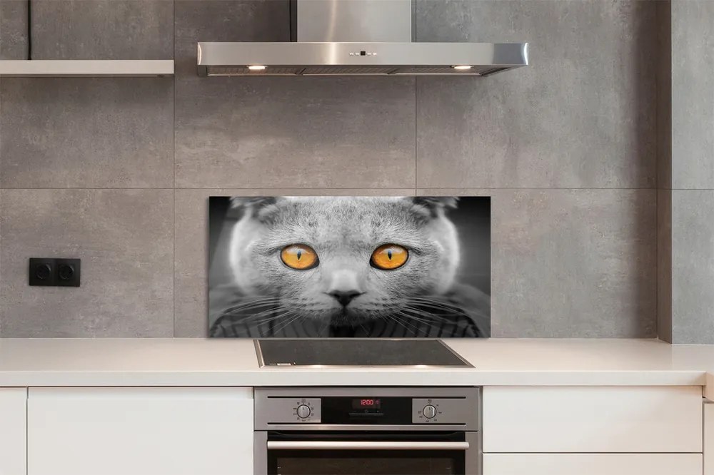 Panel Szklany Dostojny Szary Kot Brytyjski