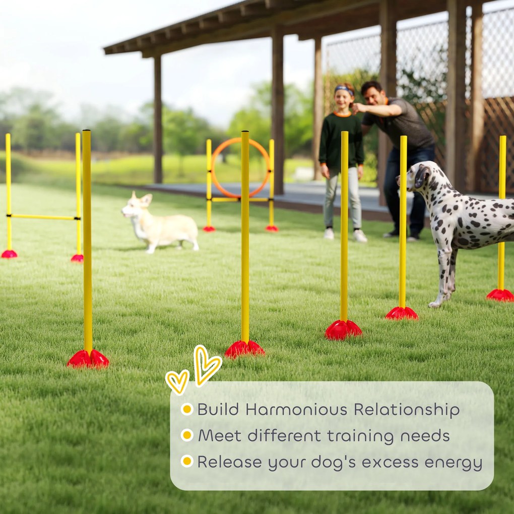 PawHut 3-częściowy Wypełnialny Zestaw Agility dla Psów do Treningu Zręczności z Słupkami Slalomowymi