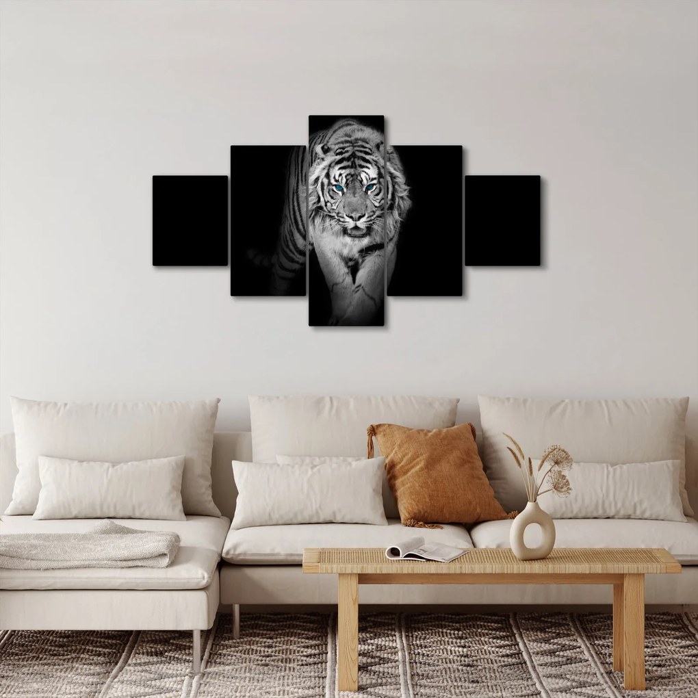 Obraz - Tygrys z niebieskimi oczami (125x70 cm)