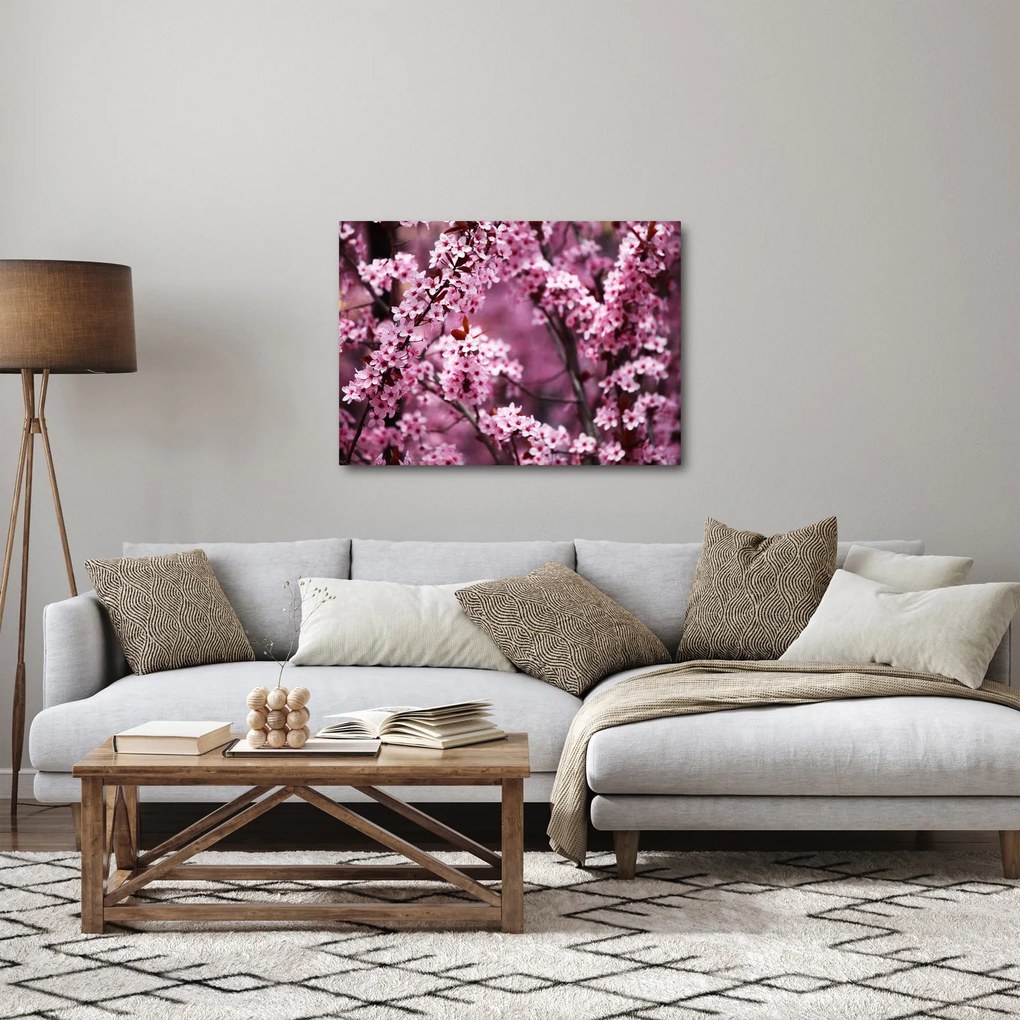 Obraz - Różowa sakura (70x50 cm)