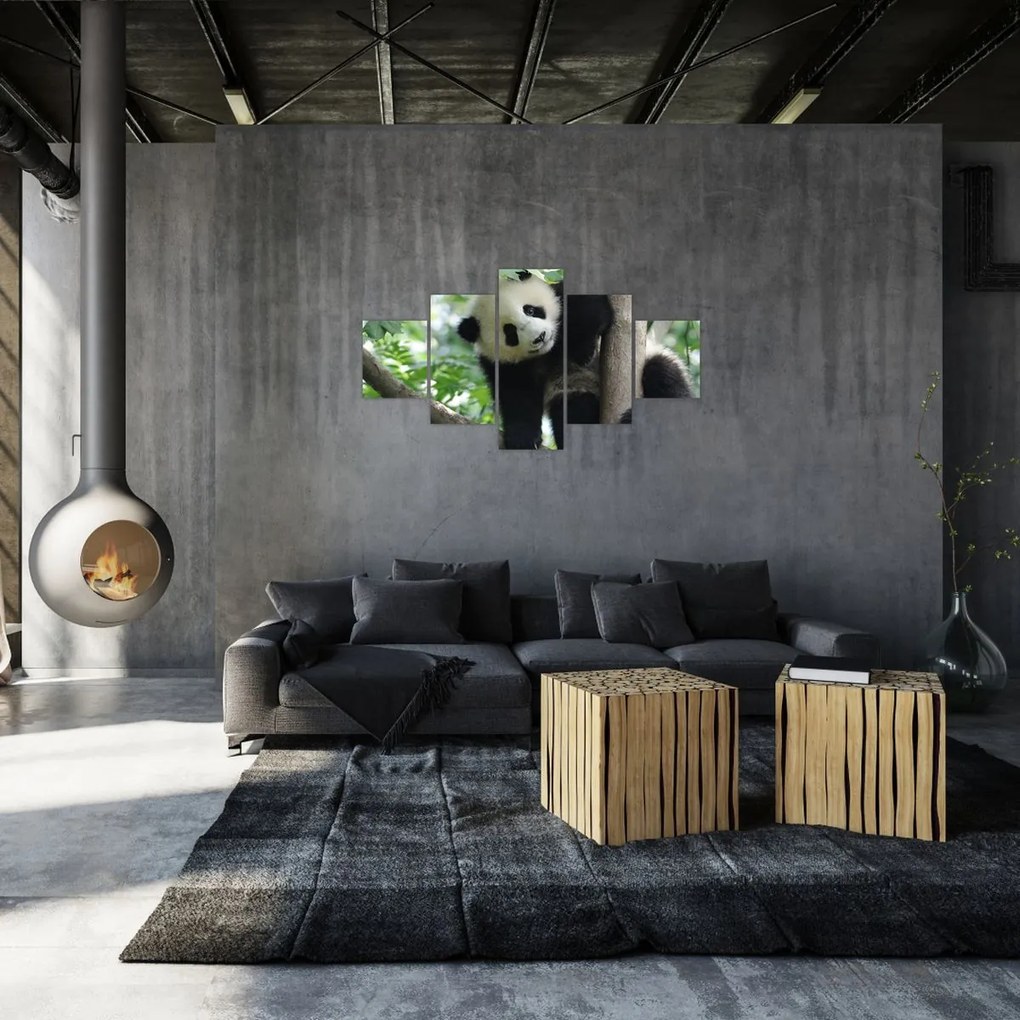 Obraz - Panda na drzewie (125x70 cm)