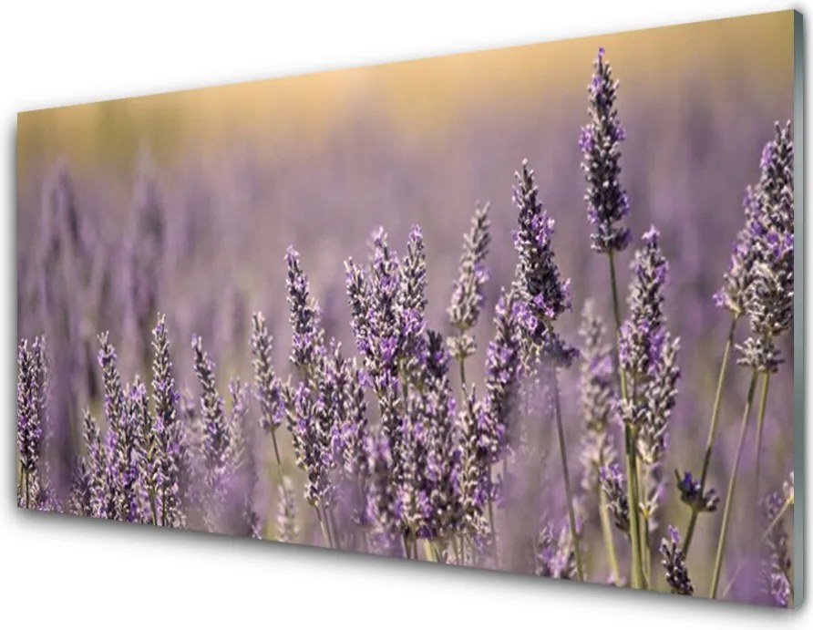 Panel Szklany Wiosenny Powiew Kwiatów