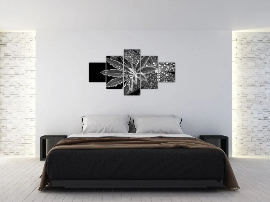 Obraz - Liście z kroplami (125x70 cm)