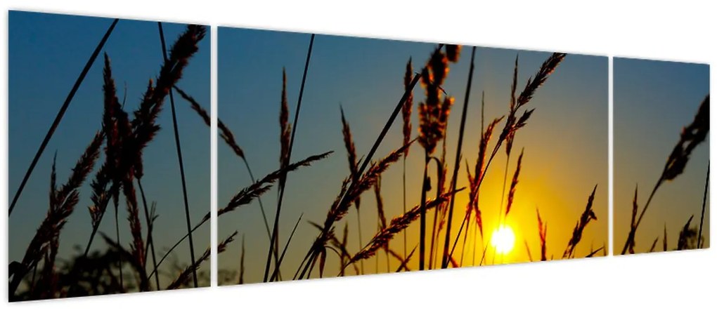 Obraz - Zachód słońca na łące (170x50 cm)