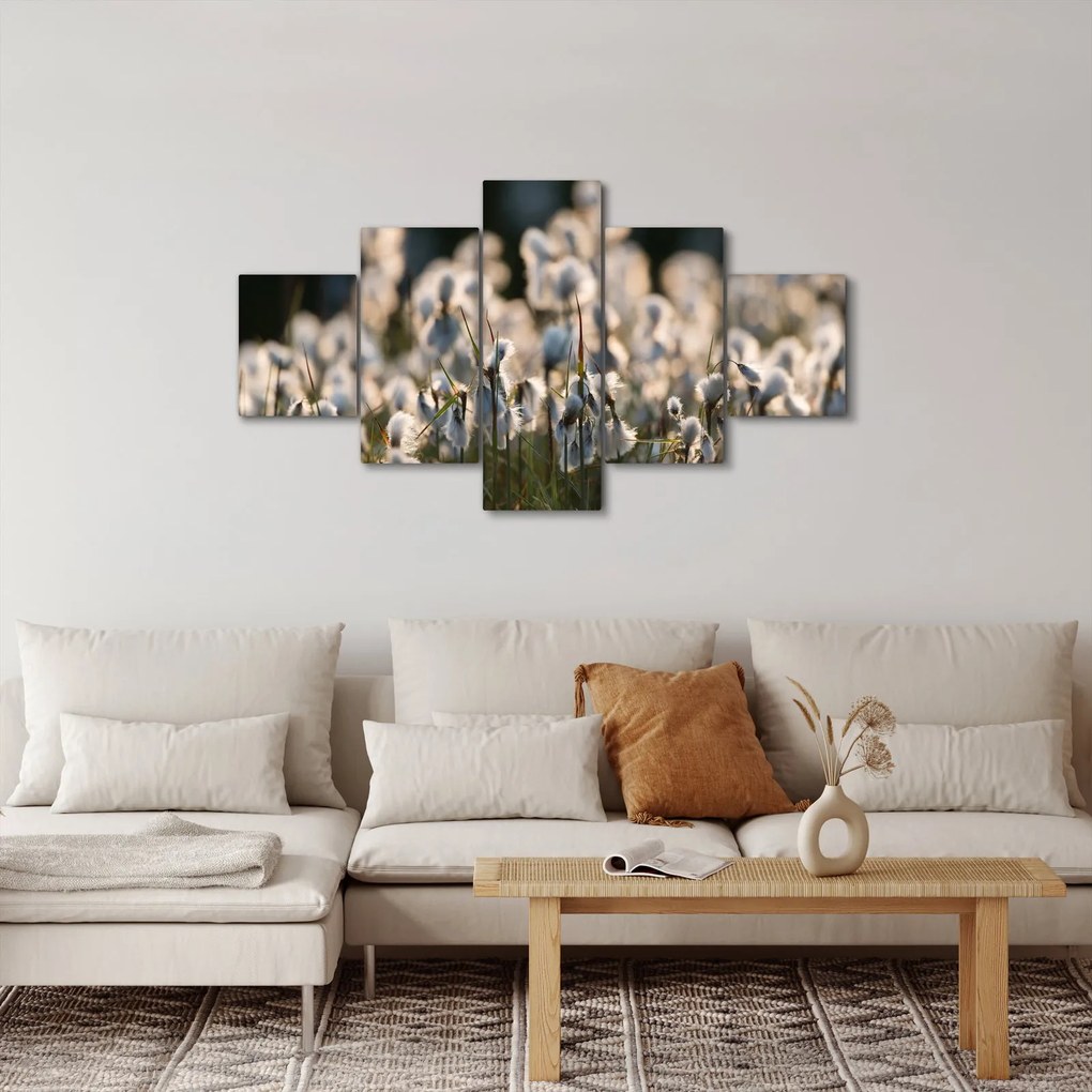 Obraz - Biała wełnianka (125x70 cm)