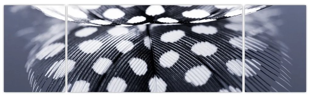 Obraz - Piórko (170x50 cm)