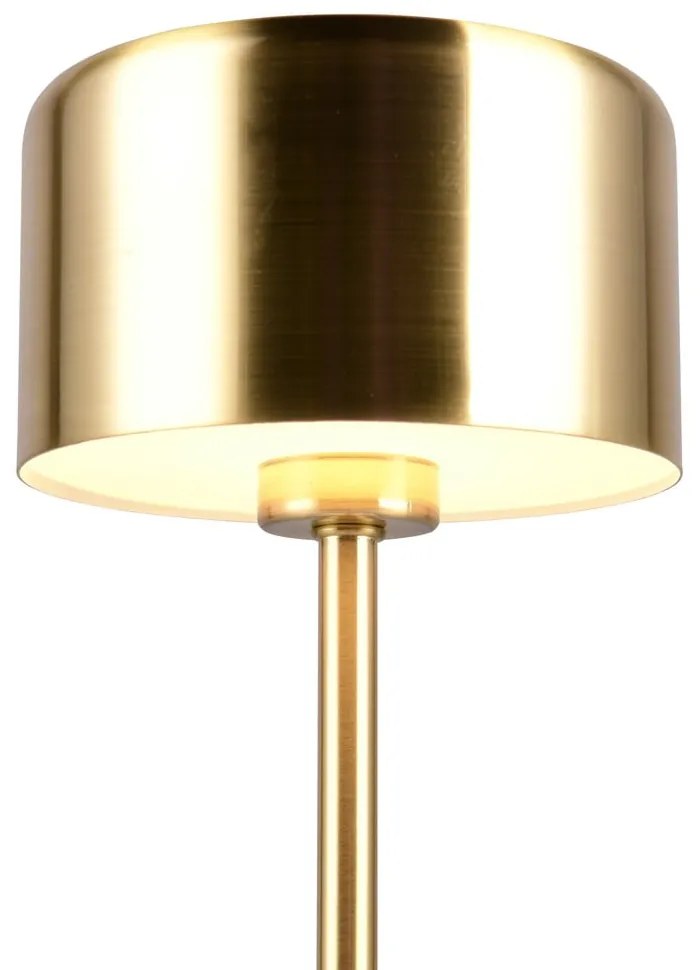 Lampa stołowa LED w kolorze złota ze ściemniaczem (wys. 30 cm) Jeff – Trio