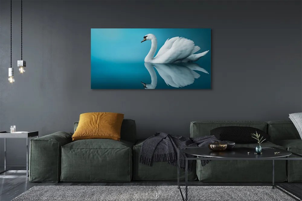 Obraz canvas na ścianę Łabędź na Tafli Wody