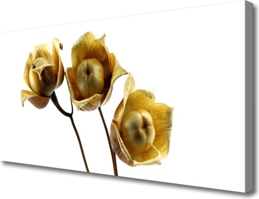 Obraz na płótnie Stylowa Flora Ścienna