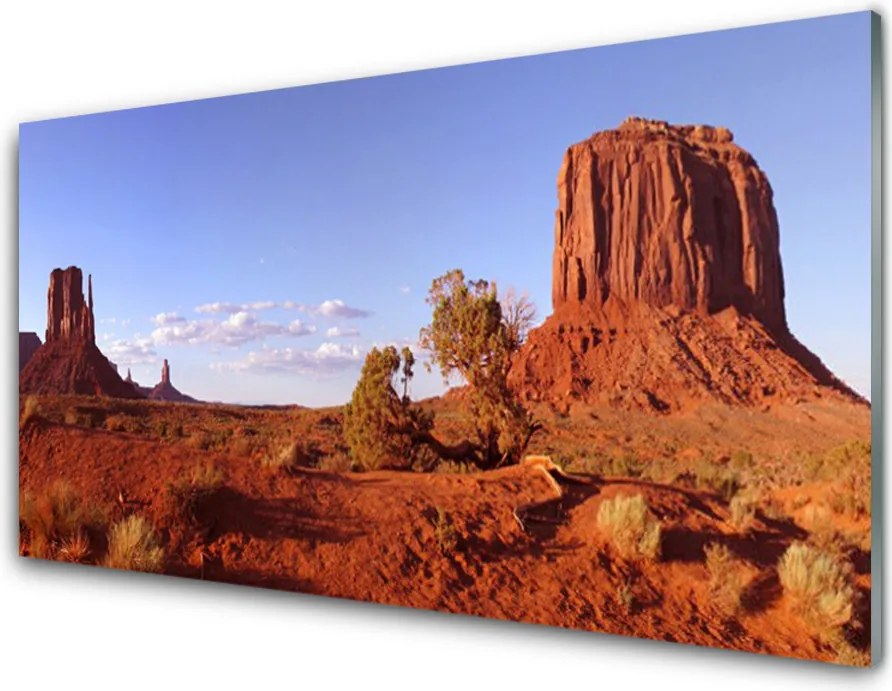 Szkło do Kuchni na Ścianę Piaszczyste Wydmy Pustyni