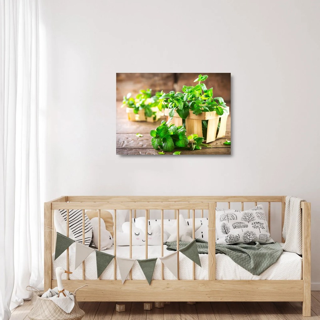 Obraz na szkle - świeża mięta (70x50 cm)