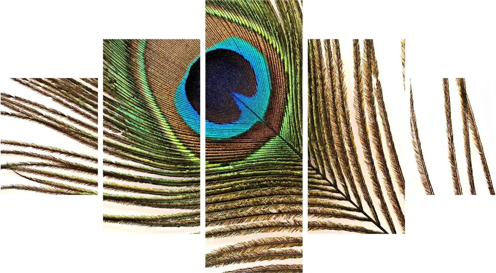 Obraz pawich piór (125x70 cm)