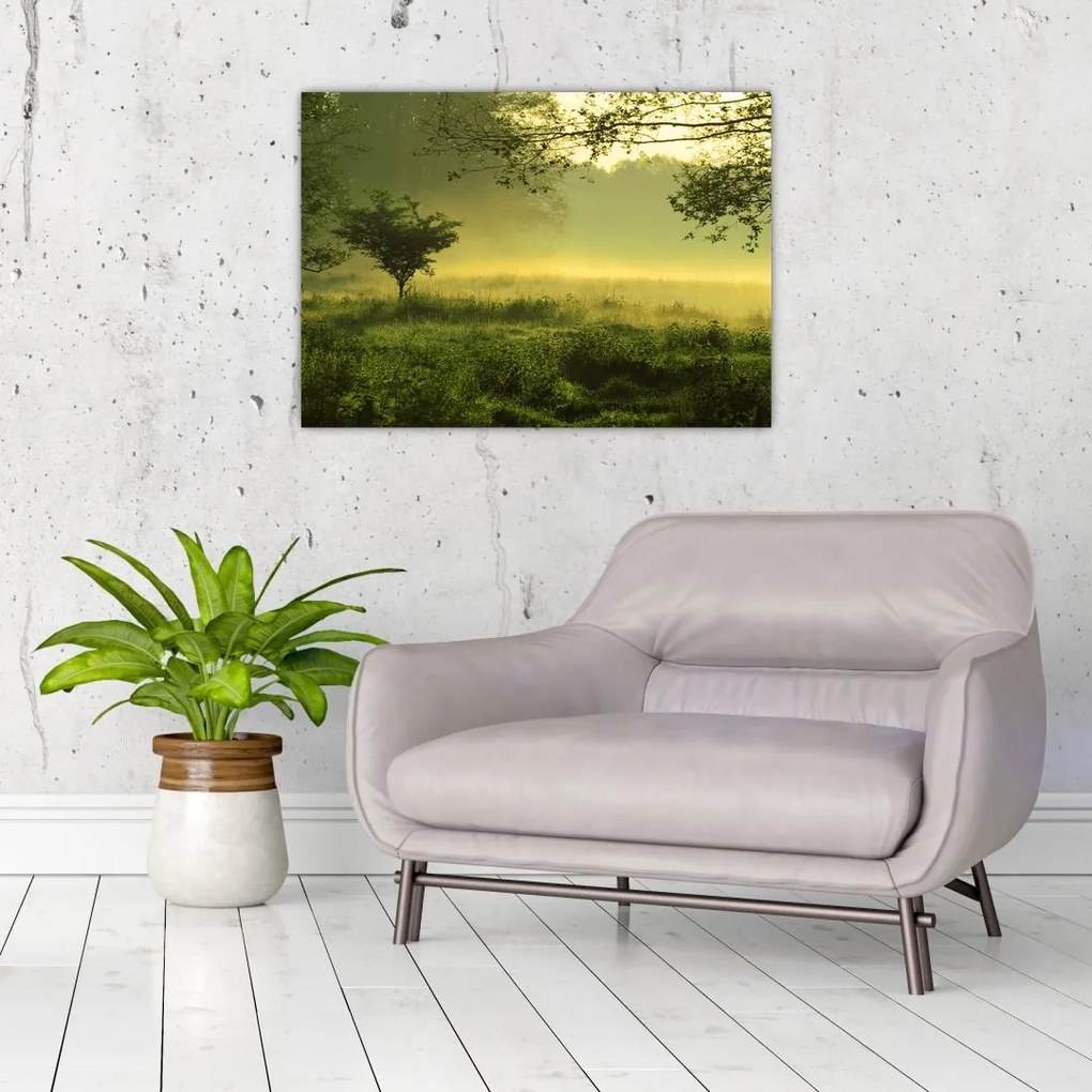 Obraz - Budzący się las (70x50 cm)